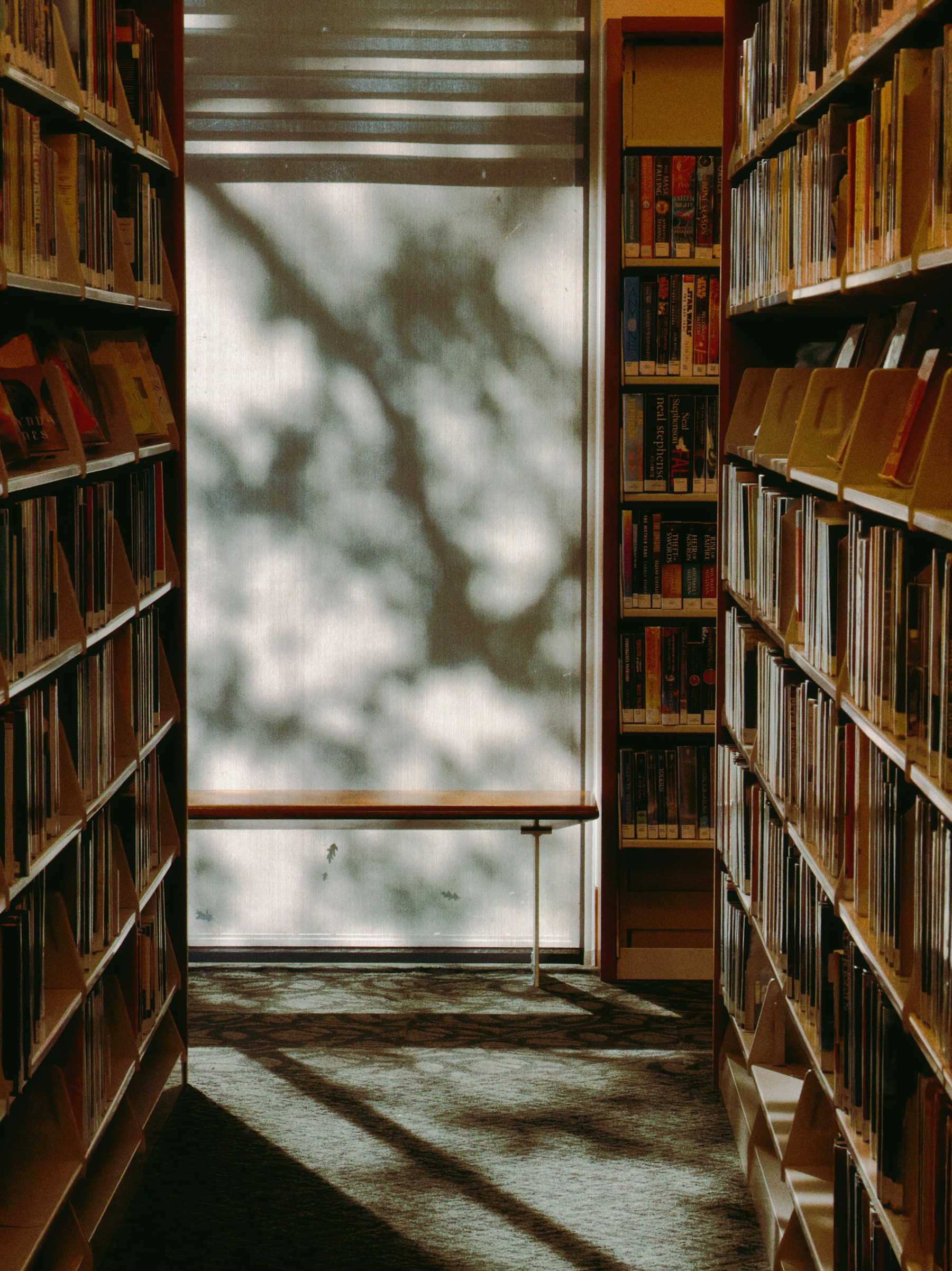 Warm bookshelves framing a window with soft, dappled sunlight.